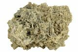 Clinozoisite Crystal Cluster - Peru #256159-1